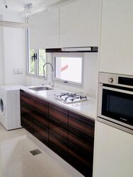 The Ford @ Holland (D10), Condominium #497091851